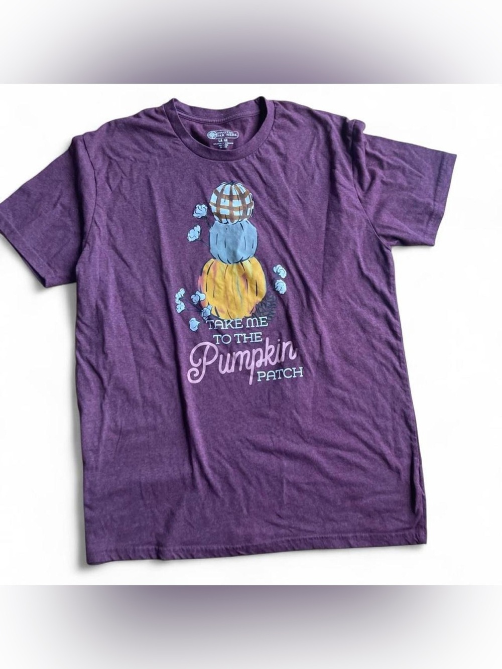 Take Me to the Pumpkin Patch Graphic Tee Women’s Large Burgundy Fall Autumn